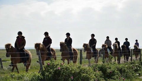 Må man ride på markveje og langs skel? Mange er usikre på adgangsreglerne i det åbne land.